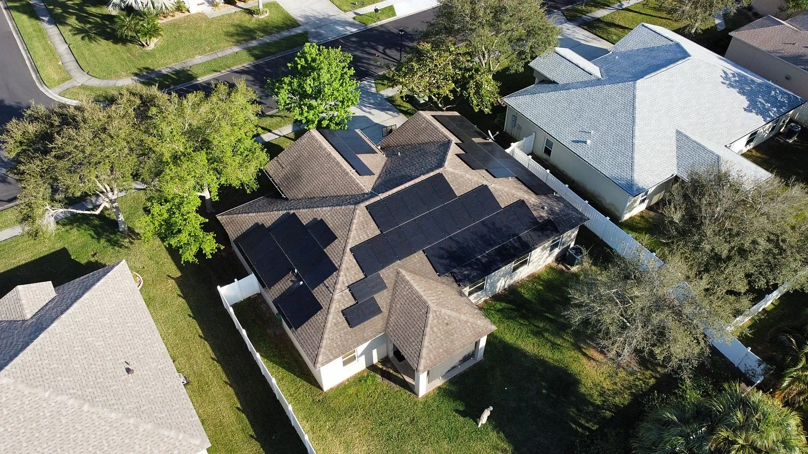 Aerial view of a rooftop solar array surrounded by mature trees